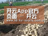 种植基地八