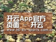 种植基地八(图1)
